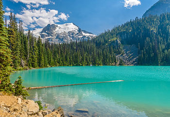 Bus to Joffre from Vancouver
