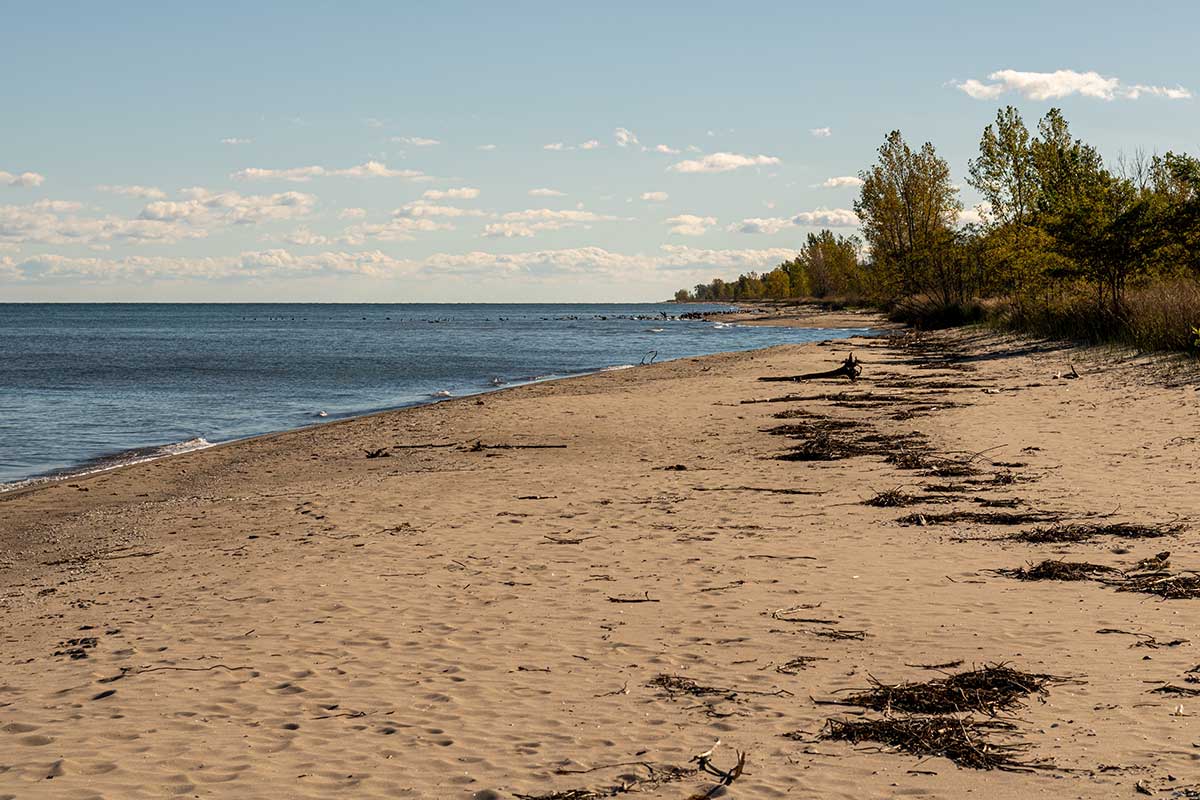 Bus to Rondeau from toronto