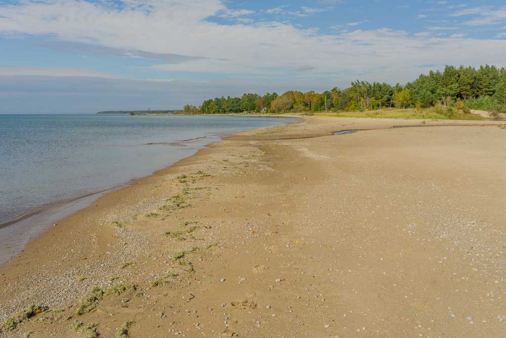 Bus to wasaga from toronto